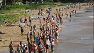 Shark sighting Kamaole Beach II Kihei Maui 1302014 longer verison [upl. by Yraeht]