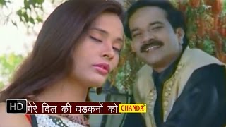 Mere Dil Ki Dhadkano Ko  मेरे दिल की धड़कनों को  Mohd Niyaz  Hindi Love Songs Hindi [upl. by Annehs]