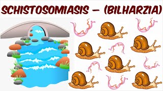 Schistosomiasis – Bilharzia [upl. by Hadik]