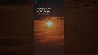 వనమాలిvanamaalivanamaliaakasamaakasamsongsghantasalaspb90sclassicSarajkumarclassicaldance [upl. by Aseela709]