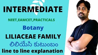 Liliaceae Family  లిలియేసి కుటుంబం  Inter NEETEamcetPracticals  Most important video [upl. by Alegnatal484]