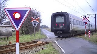 Spoorwegovergang Tinglev DK  Railroad crossing  Jernbaneoverskæring [upl. by Gilmour637]