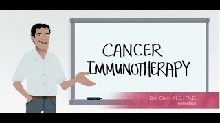 Cancer Immunotherapy  PD1 and PDL1 [upl. by Meneau587]