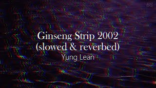 ginseng strip quotbitches come and go brahquot  yung lean  slowed  reverb  1 hour [upl. by Nnylcaj]