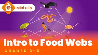 Food Webs amp Food Chains for Kids  Fun Lesson for Grades 35  Science [upl. by Peace598]