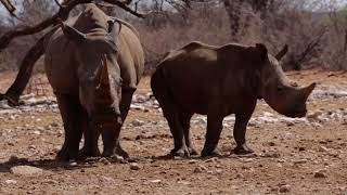 Habitas Namibia  Welcome Home [upl. by Rob]