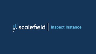 Scalefield Inspect Instance [upl. by Everett759]