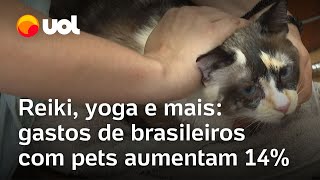 Brasileiros gastaram R 68 milhões com pets em 2023 serviços vão de banhos a terapias especiais [upl. by Yuji]