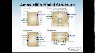 Pediatric PBPK Modeling  Special Considerations in GastroPlus [upl. by Esorbma782]