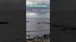 Lake Okeechobee Florida travel florida [upl. by Armington]