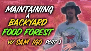 Part 3 Maintaining A Backyard Food Forest wSam Igo  Central Florida Abundance [upl. by Sapphire]