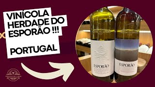 VINHO PORTUGUÊS ESPORÃO [upl. by Eves443]