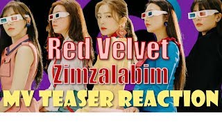 Red Velvet 레드벨벳  Zimzalabim 짐살라빔  MV Teaser Reaction [upl. by Allerie]