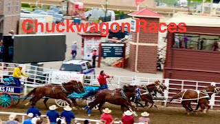 Chuckwagon races Calgary Stampede 2024 Day 2 stampede calgary chuckwagongang cowboys [upl. by Nile641]