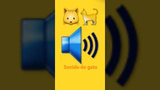 Sonico de gato [upl. by Mattson]