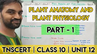 TNSCERT  Class 10  Unit 12  Plant Anatomy and Plant Physiology  Part 1 [upl. by Richella14]