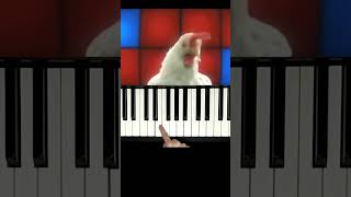 JGeco  🐔Chicken Song Piano Easyshorts chickensong pianocover pianotutorial [upl. by Burkitt889]