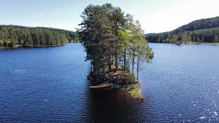 Finnskogen  Sweden  Mavic Mini Clips [upl. by Ecela]