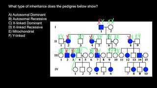 Inheritance Patterns Explained [upl. by Avi635]