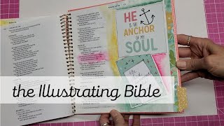 The Illustrating Bible What Ive Done So Far [upl. by Avivah]