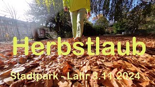 Herbstlaub  Stadtpark Lahr  3112024 [upl. by Paulo]