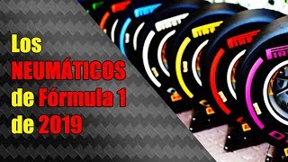 ▷ El REGLAMENTO de los NEUMÁTICOS Pirelli de F1 de 2019 🔥 [upl. by Mobley]