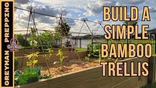 How To Build A Simple Bamboo Trellis [upl. by Tartaglia]