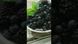 10 Propiedades y Beneficios de las Moras mora sabiasque frutas beneficios beneficios [upl. by Annawak378]