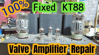 Complete full course about Valve Tube amplifier repairing using KT88👌 [upl. by Reteid163]