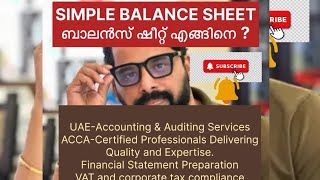 uae Balance Sheet Basics Explained in malayalam Malayalam Gulf Accountingkerala vat tax [upl. by Ronnholm]