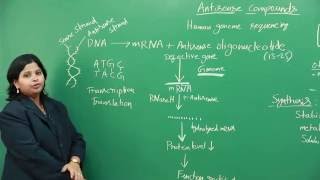 Antisense Compounds [upl. by Pesek]