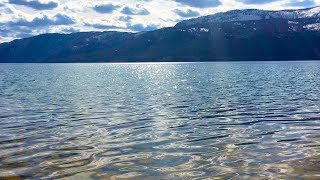 Peaceful Lake Sounds in Nature  Relax Meditate Focus  10 Hours Water Sounds White Noise [upl. by Arihday]