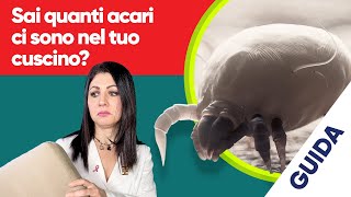 Acari della polvere dove si nascondono e come eliminarli [upl. by Eanyl]