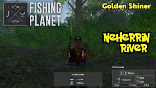 Golden Shiner Neherrin River  Fishing Planet [upl. by Ennaira605]