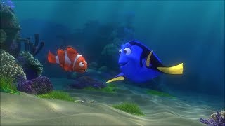 Finding Nemo 2003 Finding Dory 2016Scene [upl. by Teresa]