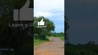 Mozambican roads shortsyoutube [upl. by Corley285]