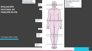 Corrector postural para TRABAJAR SENTADO 👉 ¡Úsalo bien  Fisioterapia 2021 [upl. by Nnalyrehs]