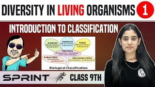 Diversity in Living Organisms 01  Introduction to Classification  Class 9  NCERT  Sprint [upl. by Dewhirst704]