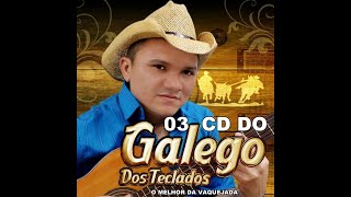 GALEGO DOS TECLADOS O MELHOR DA VAQUEJADA CD VOLUME 03 COMPLETO [upl. by Nayrbo]