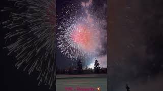 Fireworks 🎇 calgaryfestivals yyc viral shorts viralshorts canada india gujarati hindi [upl. by Nanaek79]