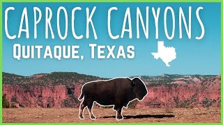 Caprock Canyons  Texas State Parks [upl. by Esra]