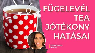 Fügelevél Tea Jótékony Hatásai Egészség és Frissesség Egy Csészében  Így Készítsd El Egyszerűen [upl. by Aehtla]