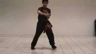 Wing Chun TWC Biu Jee form [upl. by Llerihs159]