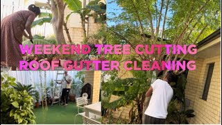 MORINGA TREE CUTTING amp ROOF GUTTER CLEANING FOR WINTER  TAMIL VLOG  PERTH  AUSTRALIA [upl. by Anelegna]