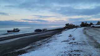 🐋 Bowhead Whale Harvest 🐋 [upl. by Newbill]