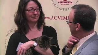 Owner discusses cats cancer diagnosis treatment and recovery [upl. by Imot]