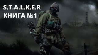 STALKER КНИГА 1 Аудиокнига Сталкер [upl. by Zetra]