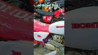 රළු මාවතේ වීරයා honda honda xl250🎌👹️🔥 [upl. by Maples243]