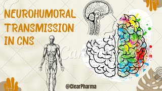 Neurohumoral transmission in the CNS  special emphasis on importance of various neurotransmitters [upl. by Elleraj]