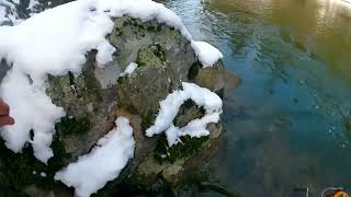 winter steelhead fishing on Wallowa River march 2023 [upl. by Ahtenek]